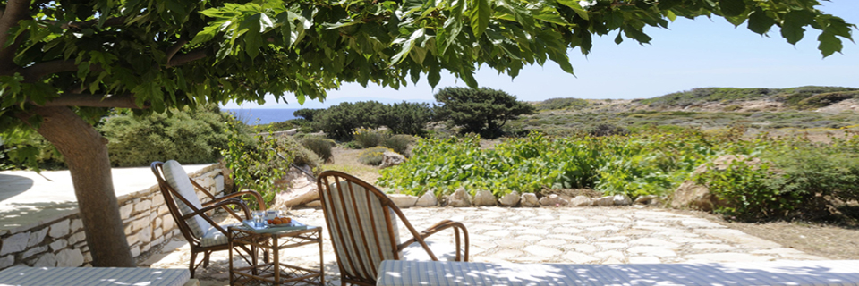 …and a return to living in harmony with the natural environment